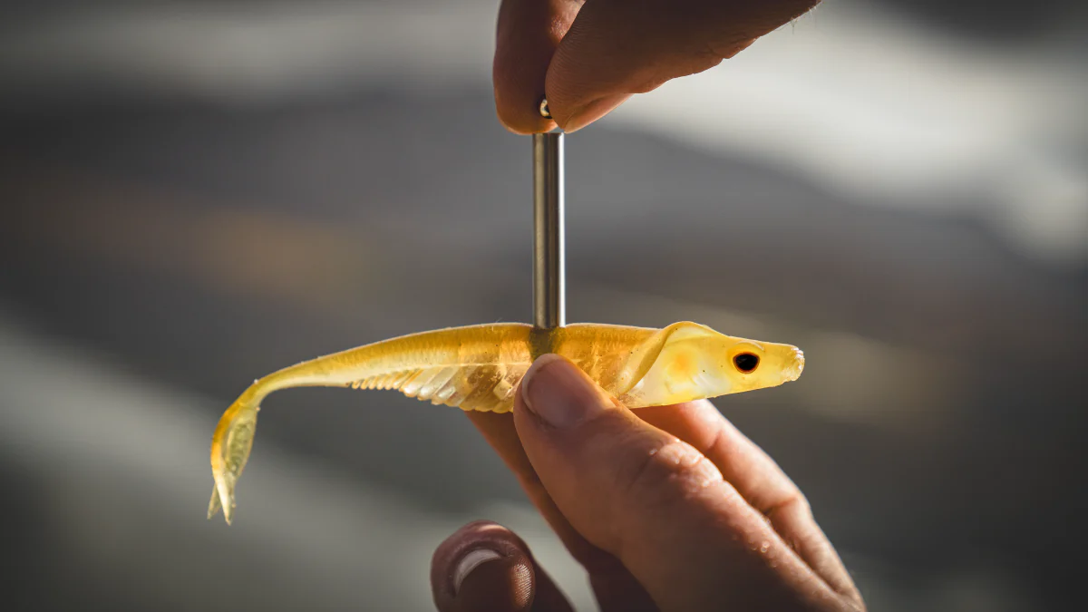 Cobra Shad 4.5" Live Ops - 4 Pack - Image 4