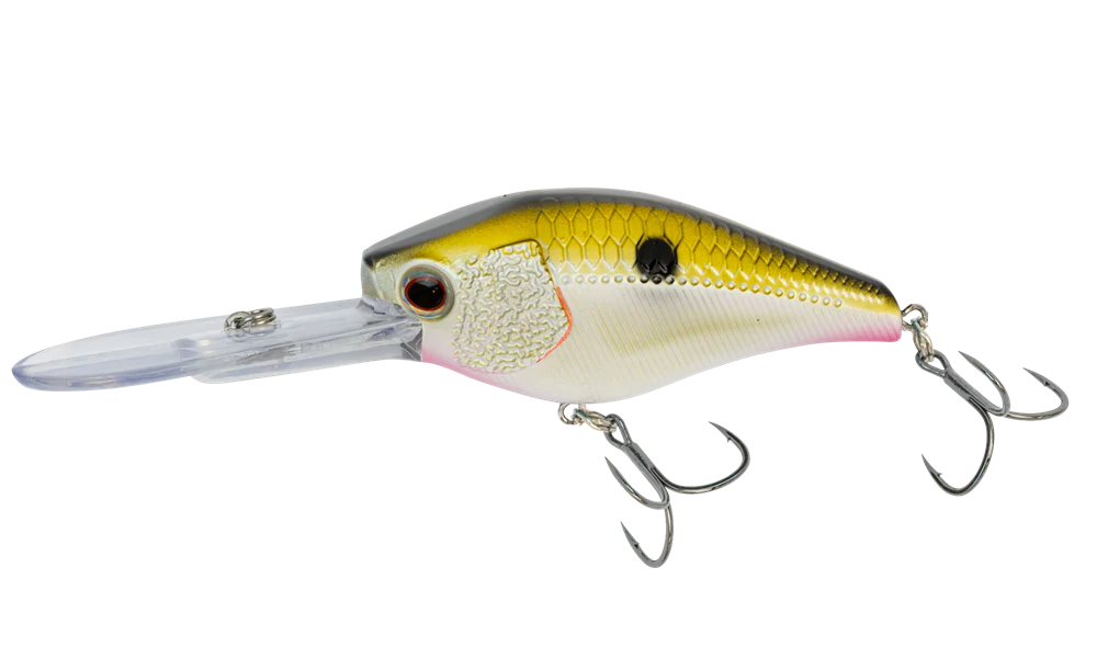 D-Trak 65 Deep Crankbait 2-1/2" - Image 6