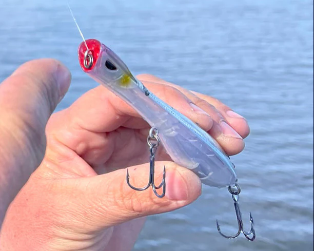 Dartwing 125 Topwater 5" - Image 3