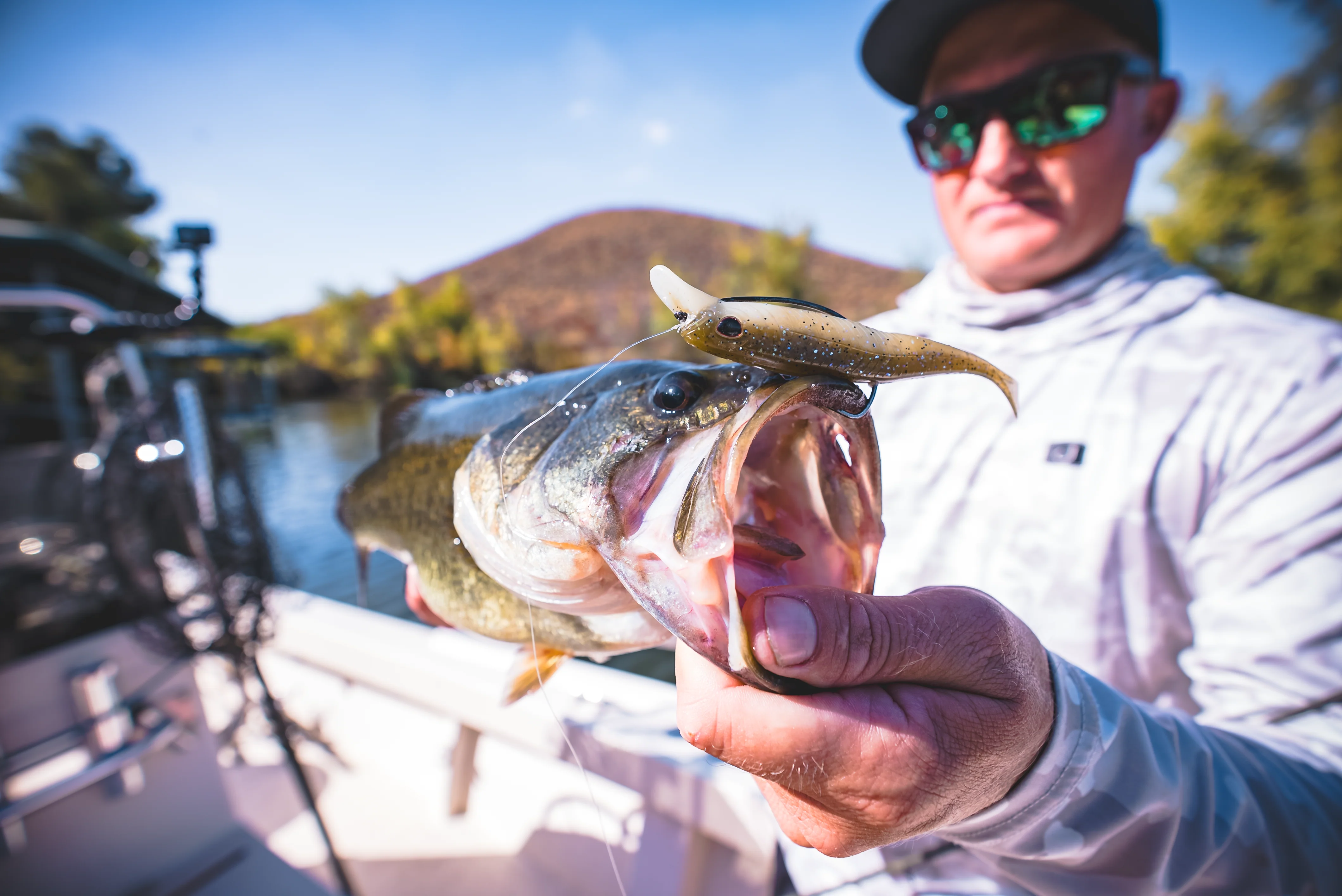 Delta Minnow 4.5" Live Ops - 4 Pack - Image 18