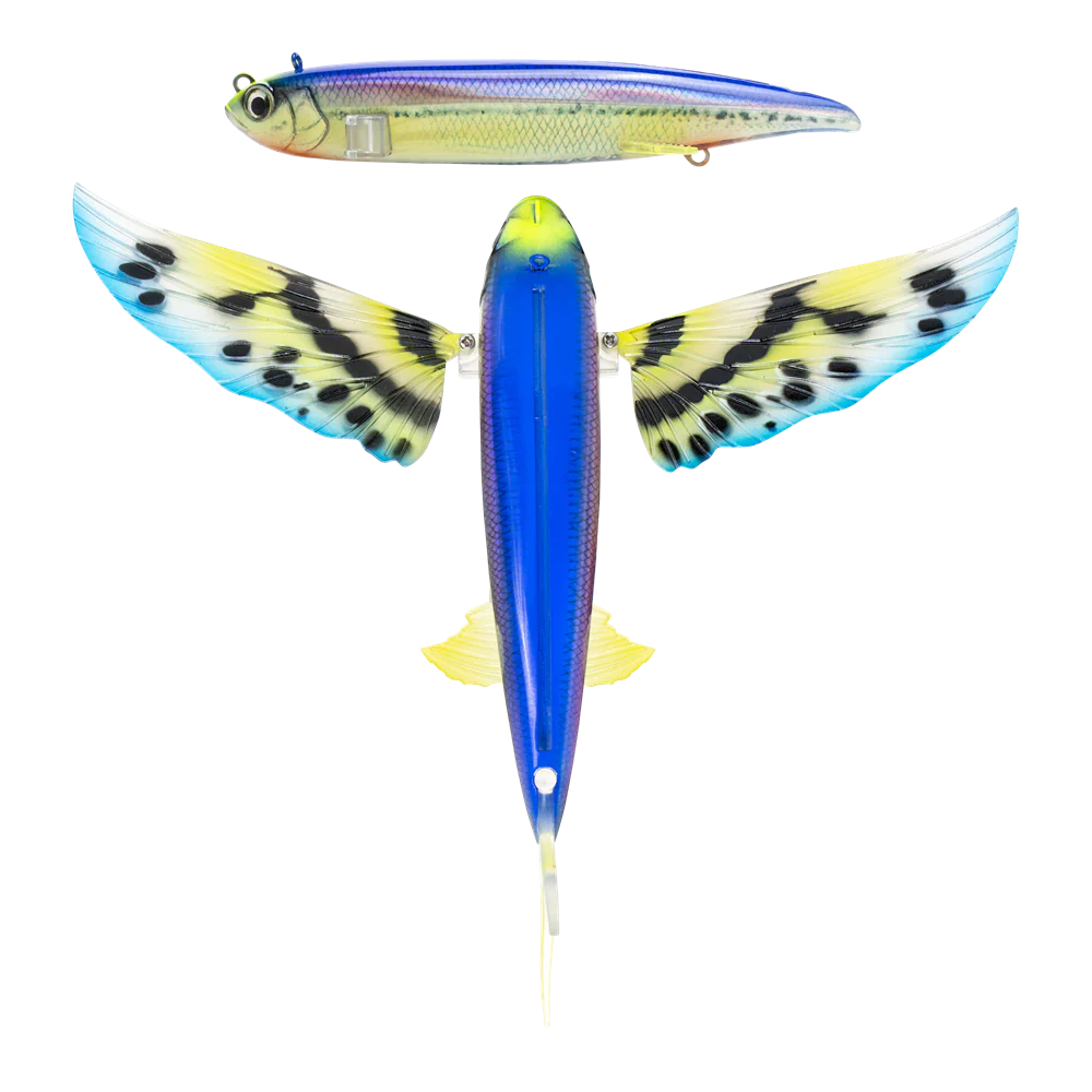 Slipstream 200 Flying Fish 8" - Image 6