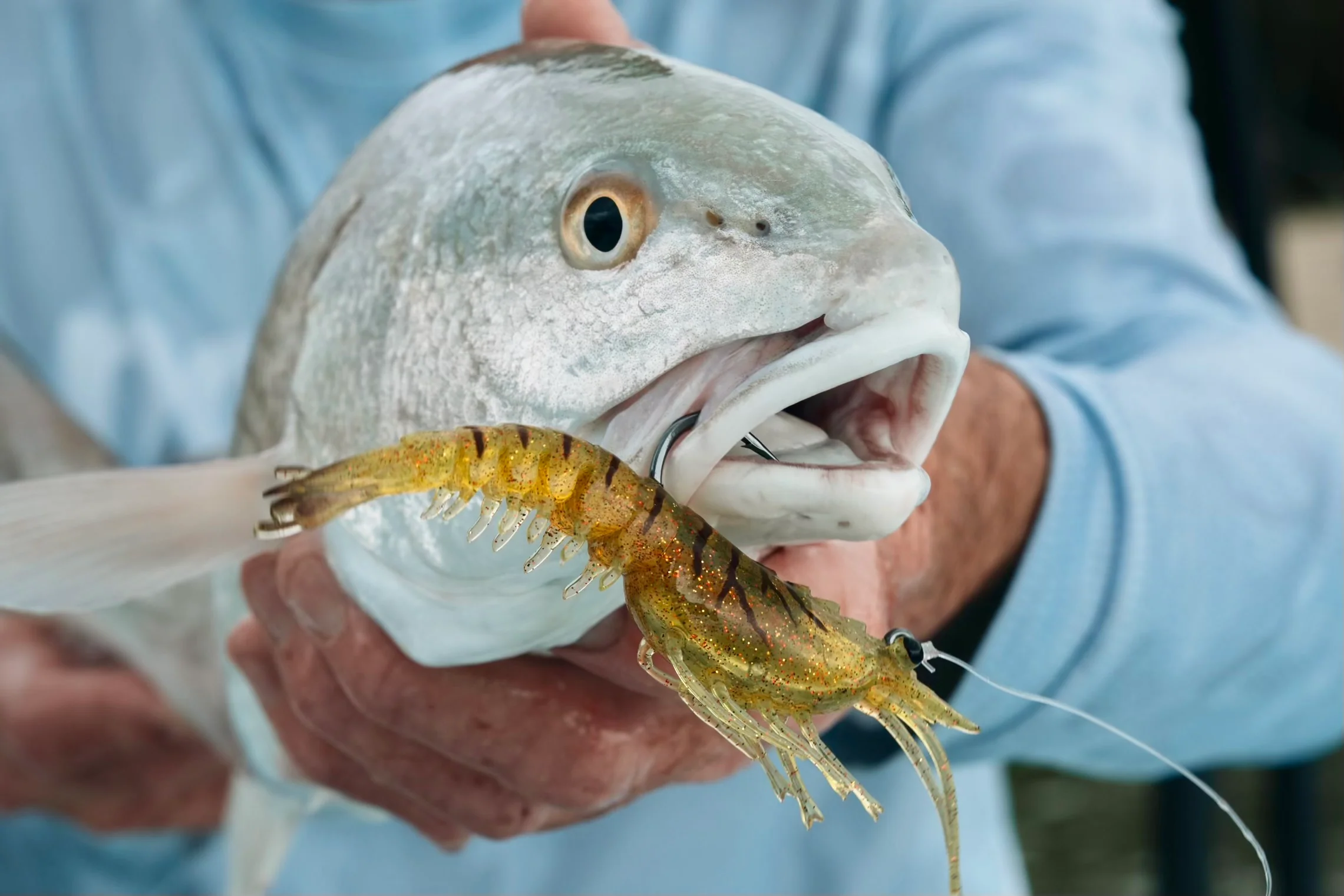 Inshore Redfish Bundle - Image 6