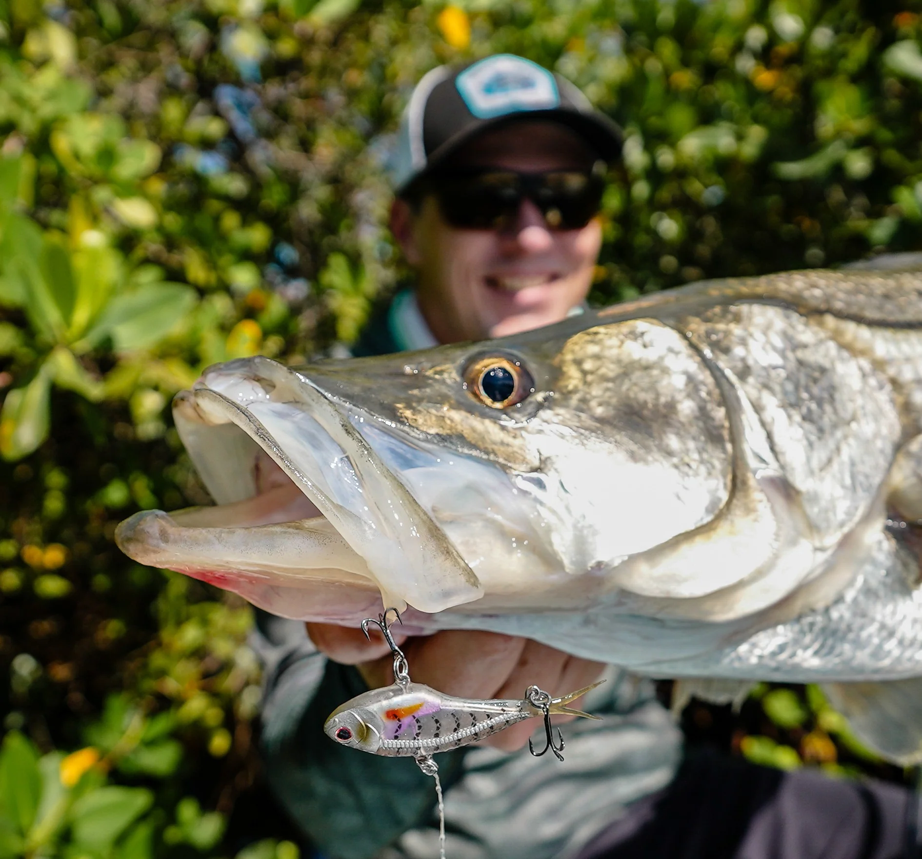 Inshore Snook Bundle - Image 4