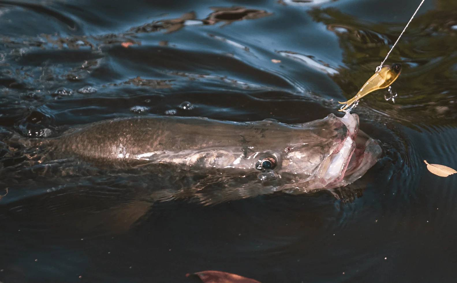 Inshore Snook Bundle - Image 5