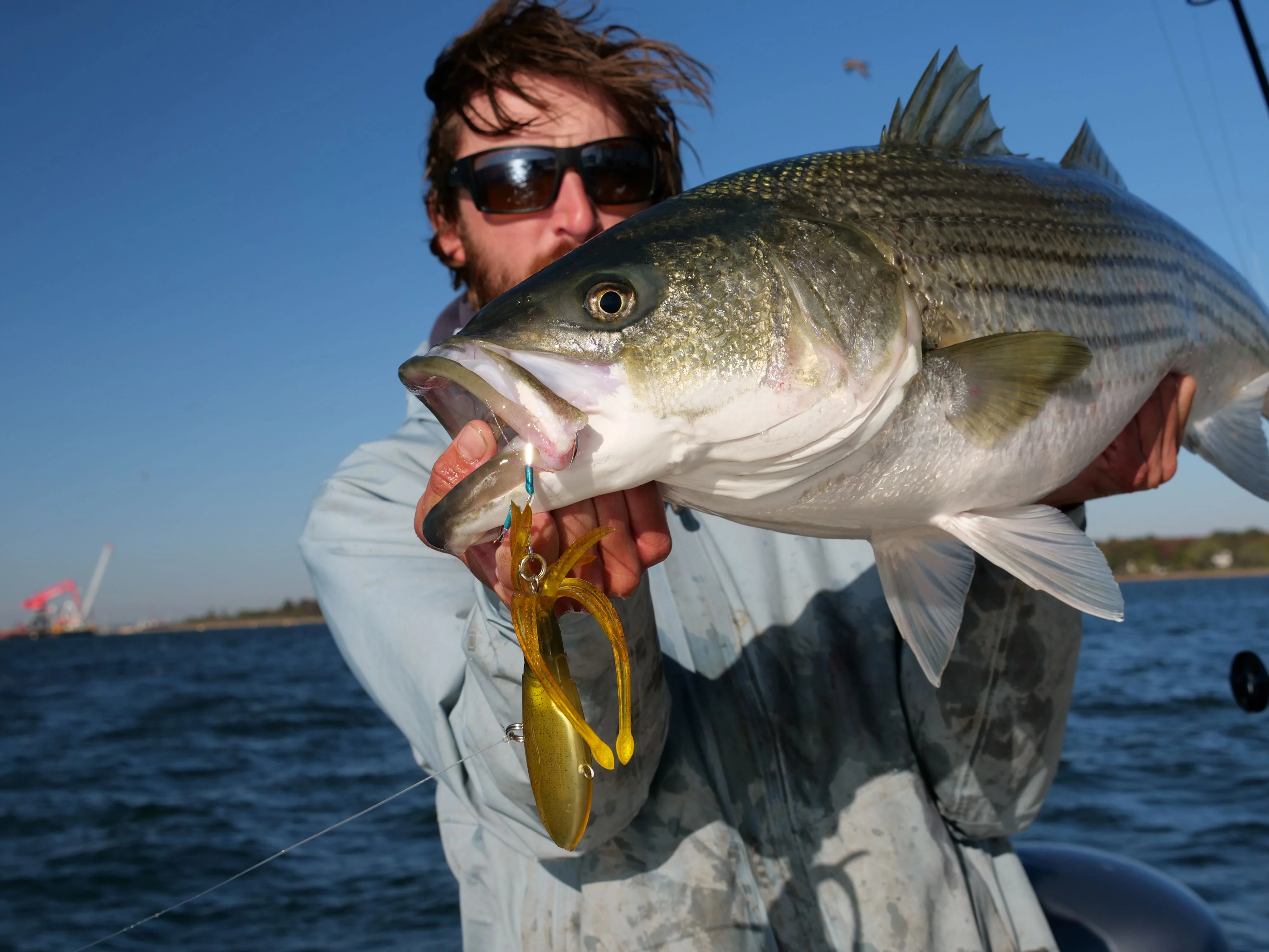 Inshore Vibe Bundle - Image 4