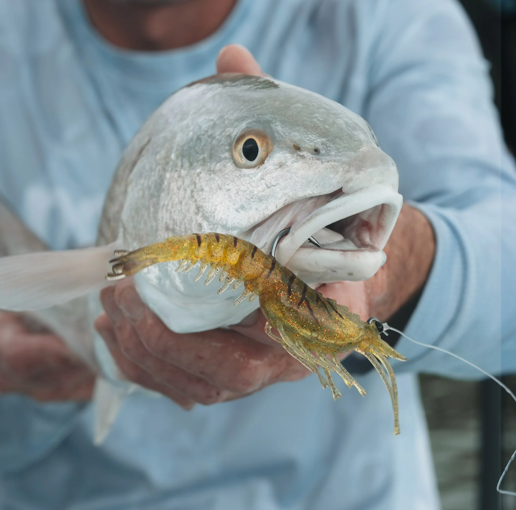 Live Ops Inshore Bundle - Image 4
