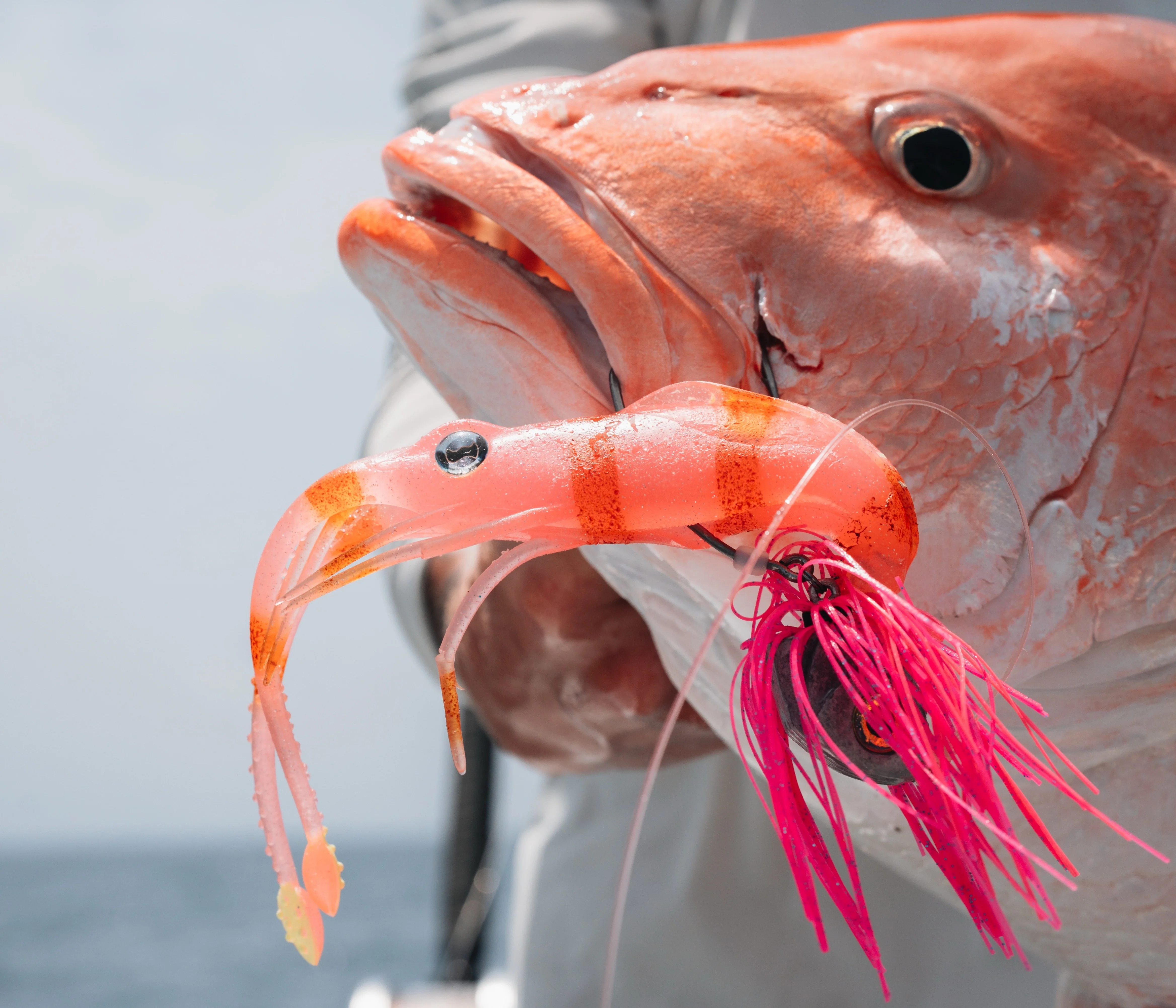 Live Ops Offshore Bundle - Image 4