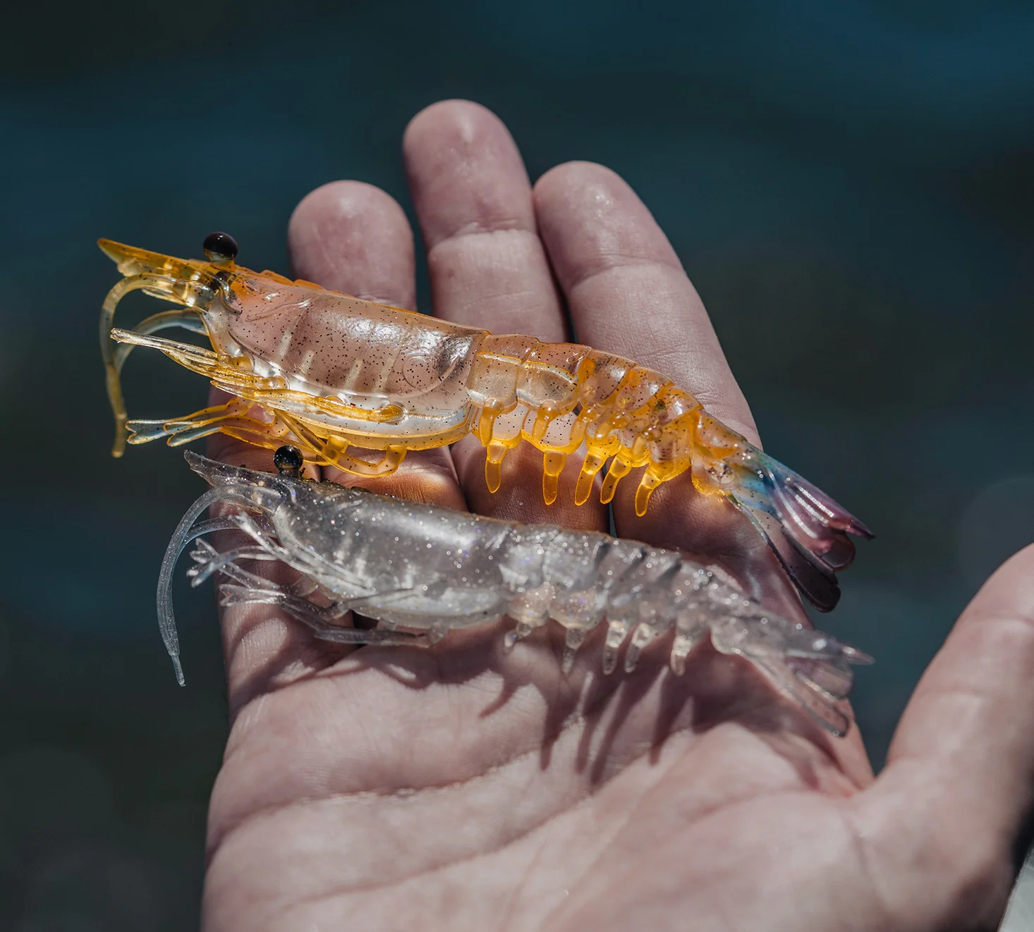 Live Ops Offshore Bundle - Image 6