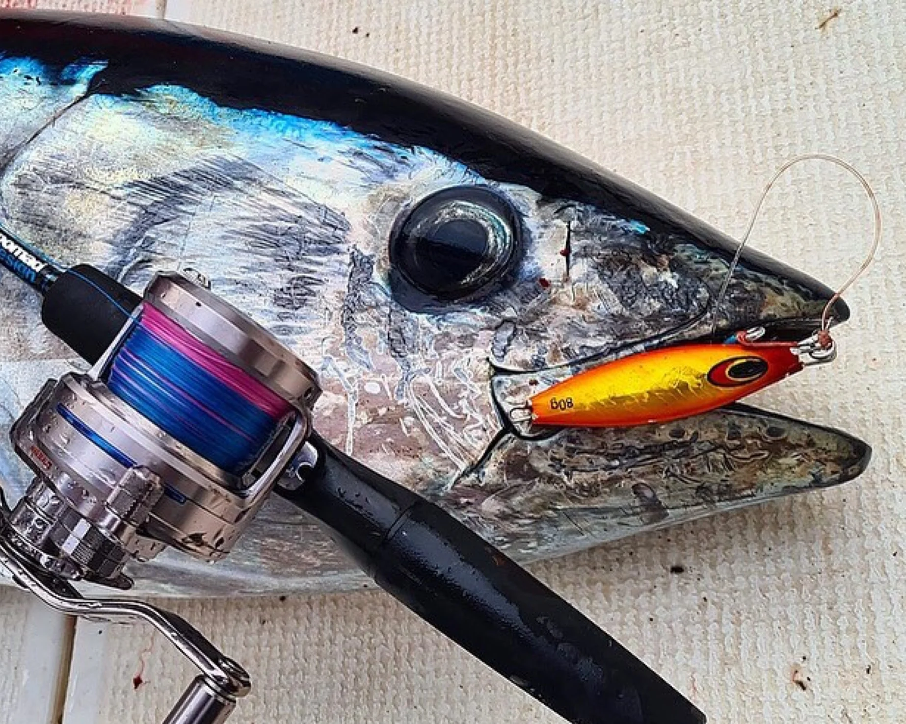 Slow Pitch Jigging Bundle - Image 7