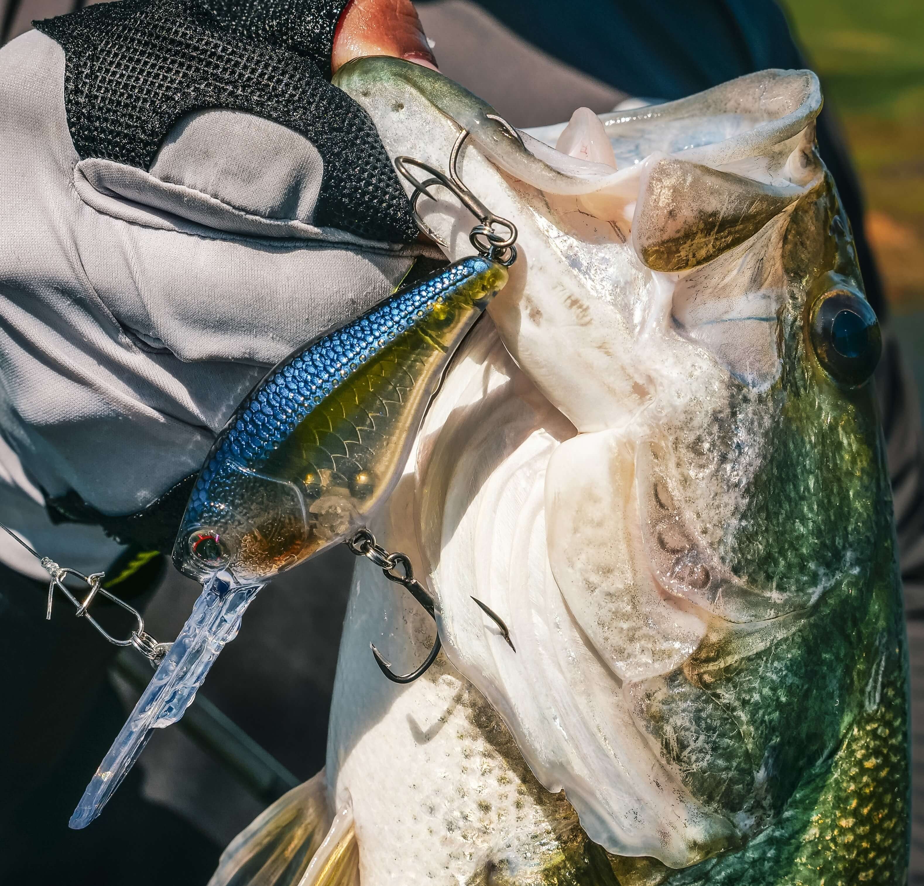 Hardbait Essentials Bundle - Image 4