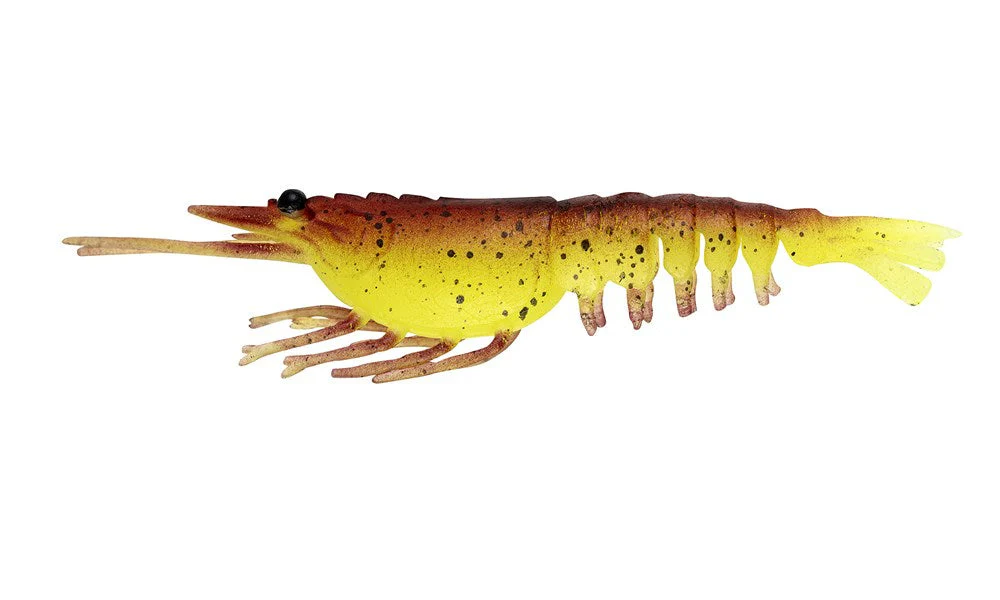 Switcher Shrimp 2.3" - 6 Pack - Live Ops - Image 3