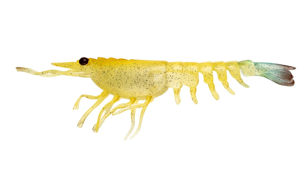 Switcher Shrimp 2.3" - 6 Pack - Live Ops - Image 5