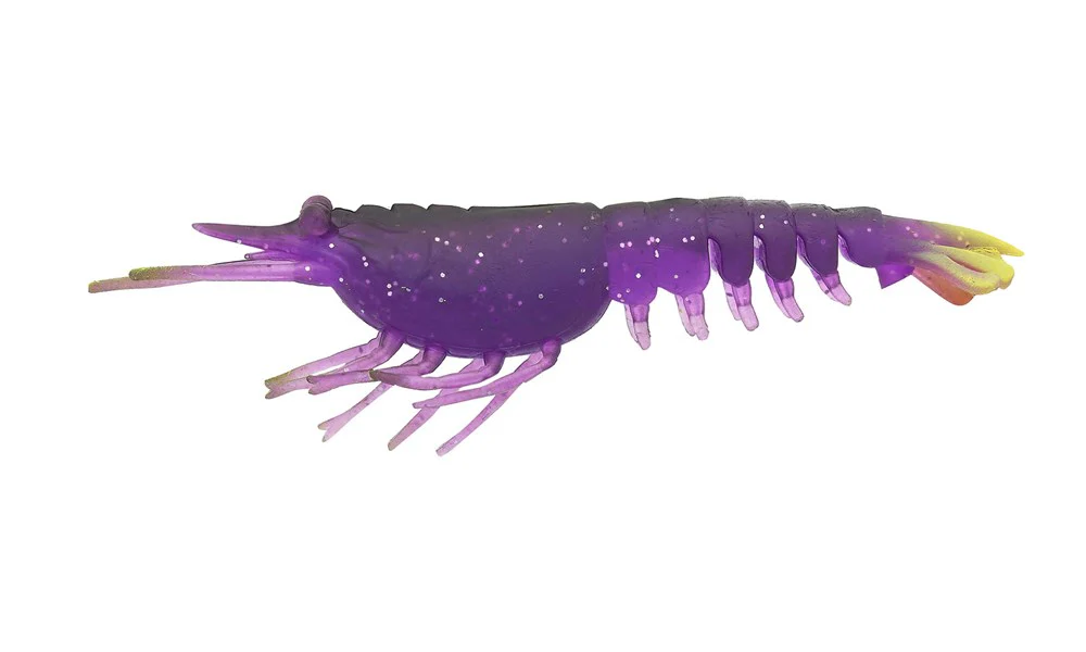Switcher Shrimp 3.5" - 5 Pack - Live Ops - Image 3