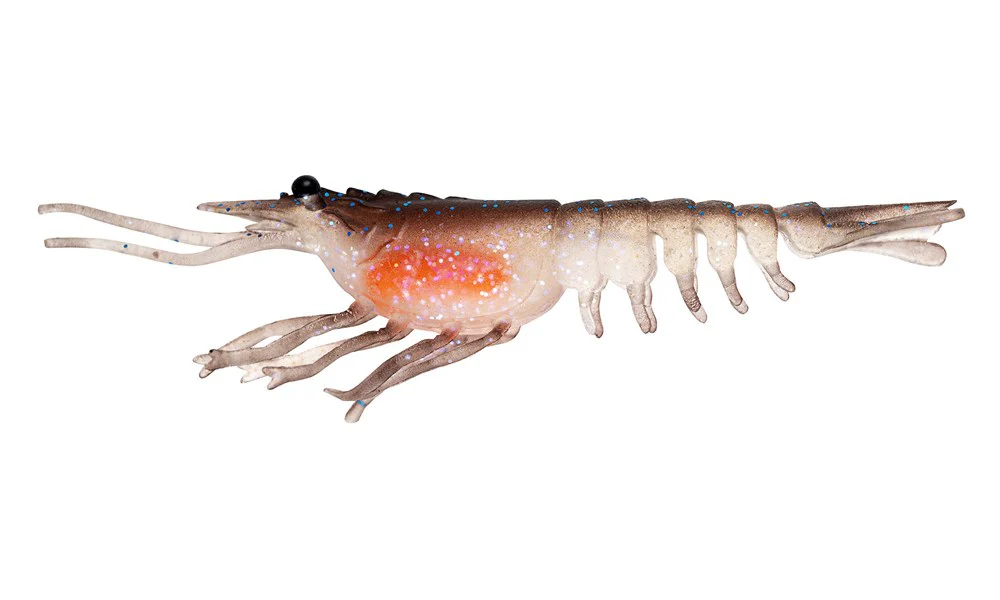 Switcher Shrimp 4.25" - 4 Pack - Live Ops - Image 5