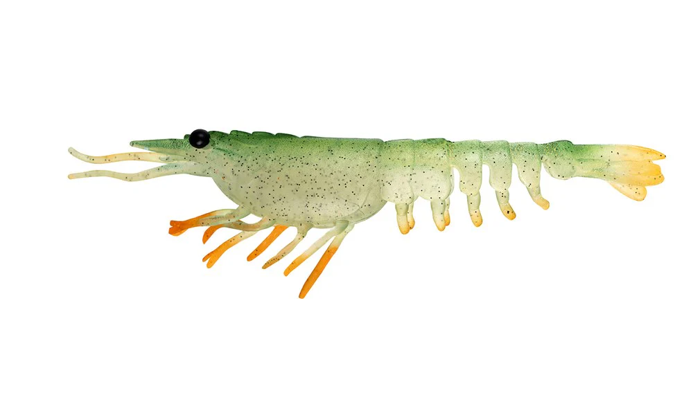 Switcher Shrimp 4.25" - 4 Pack - Live Ops - Image 7