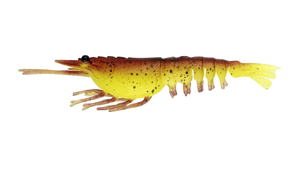 Switcher Shrimp 5"- 3 Pack - Live Ops - Image 3