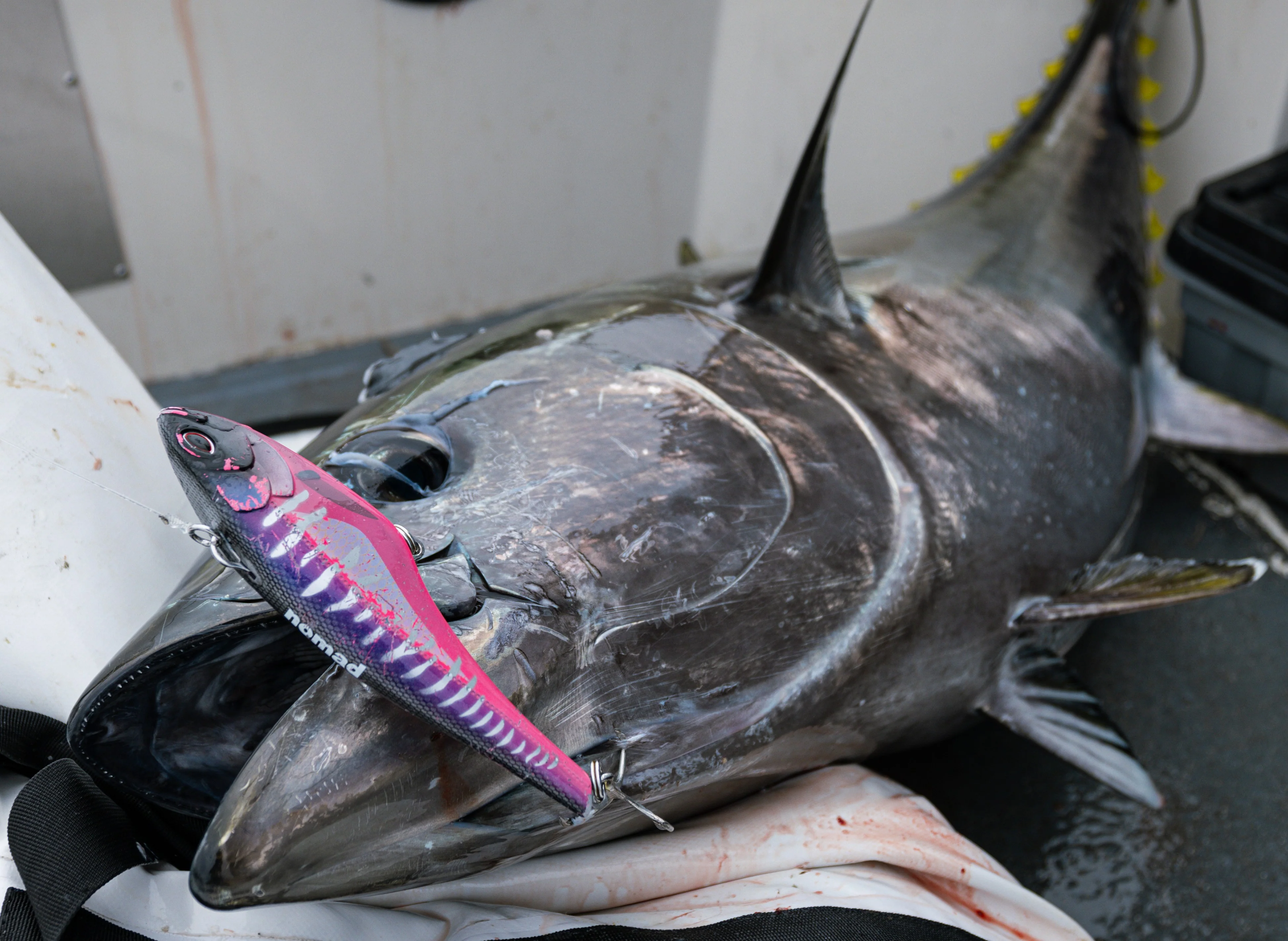 Bluefin Tuna Trolling Bundle - Image 4