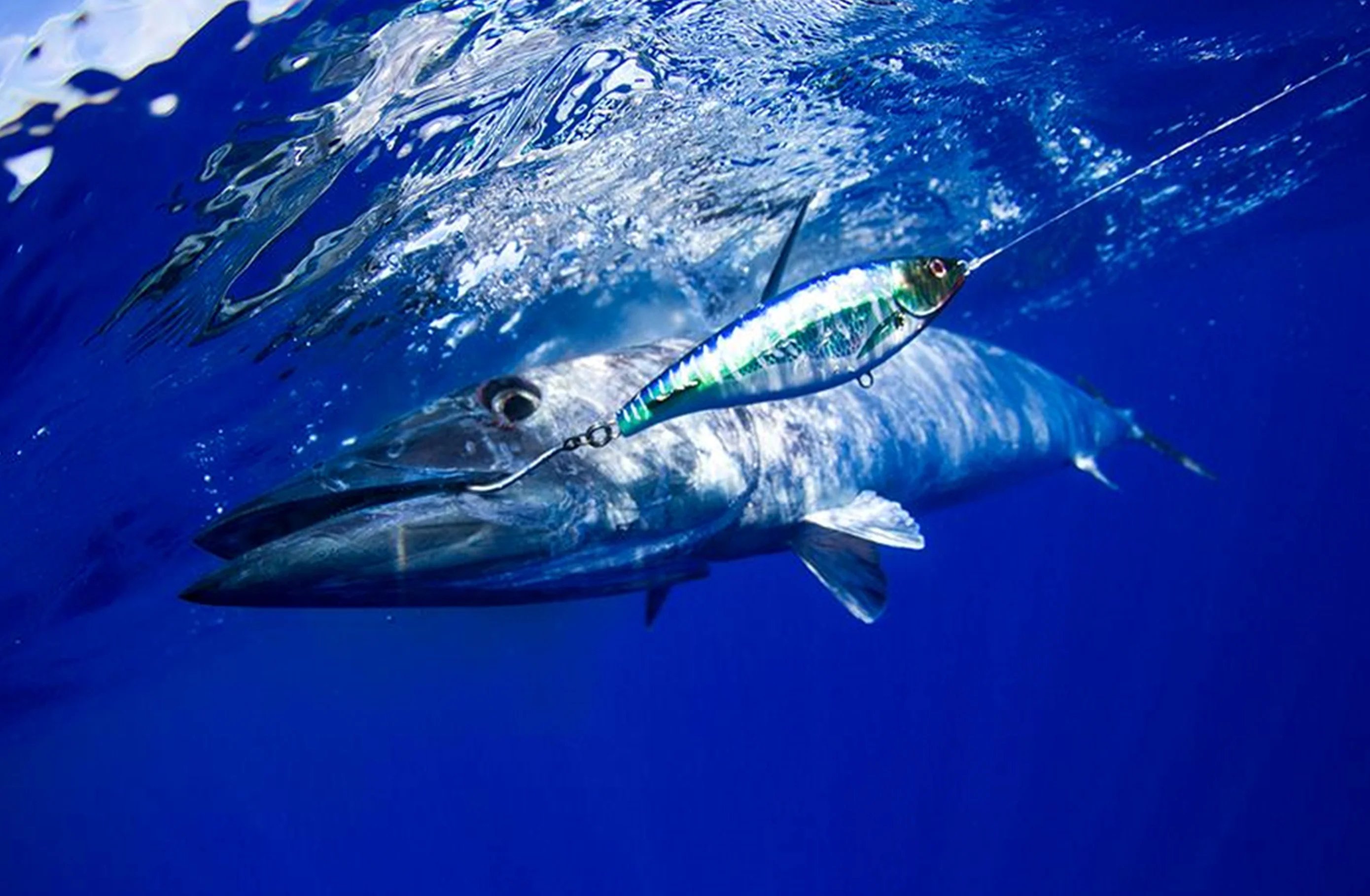 Wahoo Trolling Bundle - Image 4